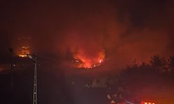 Kozan'da 2 ayrı noktada orman yangını; yerleşim yerleri tedbir amaçlı boşaltıldı (5)