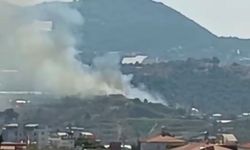Makilik yangınında 10 dönüm zarar gördü