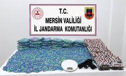 Mersin'de 70 bin uyuşturucu hap ele geçirildi; 1 gözaltı