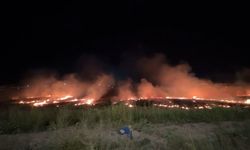 Osmaniye'de iki gün üst üste aynı bölgede anız yangını