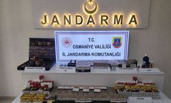 Osmaniye'de jandarma son bir haftada 109 şüpheliyi yakaladı
