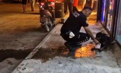 Silahla vurularak yaralanan sokak köpeğine polis ekipleri sahip çıktı