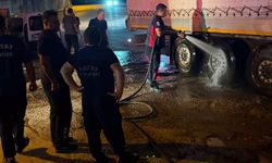 TIR şoförünün dikkati, yangını önledi