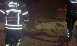 Üçüncü kata çıkan tilki itfaiye ekiplerince kurtarıldı