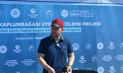 Yeşil deniz kaplumbağası 'Hanzala', uydu cihazıyla Akdeniz'e gönderildi