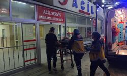 Adana'da hafif ticari araç kanala düştü: 2 yaralı