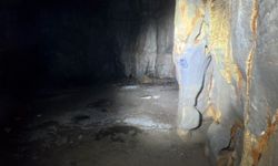 Akdeniz fokları insan baskısıyla mağaralara sığınıyor