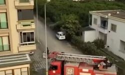 Balkonda mahsur kalan güvercini itfaiye kurtardı