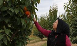 Başkan yıldız, kadın çiftçilerle tarlada buluştu