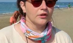 Belek'te 100 bin caretta yavrusu denize ulaştı