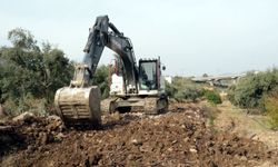 Camili'nin yolu yenilendi