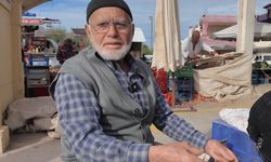 Çıntar mantarı pazar tezgahında