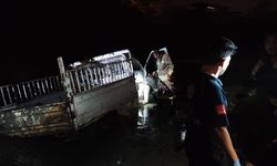 Hatay'da Asi Nehri'ne düşen kamyonetteki 2 kişi kurtarıldı