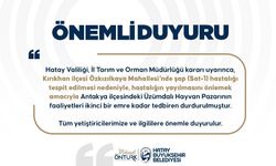 Hatay'da Üzümdalı Hayvan Pazarı, şap hastalığı nedeniyle geçici olarak kapatıldı