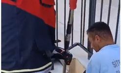 Havalandırma borusuna düşen kedi kurtarıldı