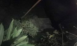 Köprüden dere yatağına düşen otomobilin sürücüsü yaralandı