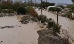 Kuvvetli yağış ve dolu nedeniyle tarım arazileri zarar gördü