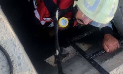Kuyuya düşen yavru tilki kurtarıldı