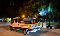 Mersin'de ilaçlama çalışmaları kesintisiz sürüyor