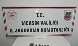 Mersin'de tarihi eser kaçakçılığı operasyonu