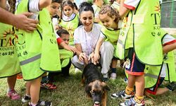 Muratpaşa'da 2026'da 287 can yeni yuvasına kavuştu
