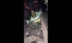 Otomobilde mahsur kalan yavru kedi kurtarıldı