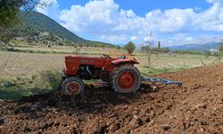 Tarla sürdüğü traktörün altında kalıp yaralandı