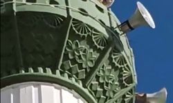 Tilki minareye çıktı