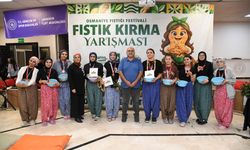 Üniversiteli kız öğrenciler yer fıstığı kırmada yarıştı