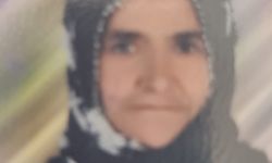 Yolun karşısına geçerken otomobilin çarptığı yaya öldü
