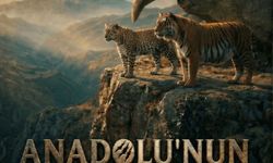 Yüzde 90 engelli yönetmenin hedefi Hollywood