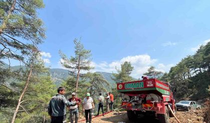 Adana’da orman yangını