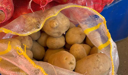 Tezgahta Yerini Aldı: Fiyatı 20 Liradan 5 Liraya Kadar Düştü