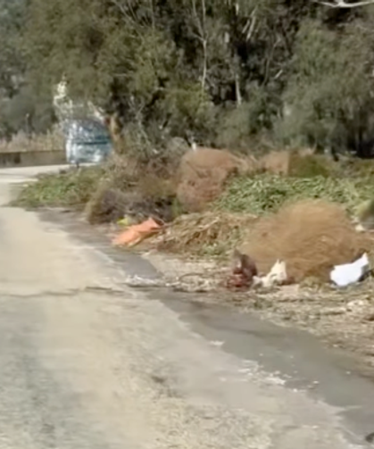 Mersin Susanoğlu’nda yol kenarına atılan keçi leşi tepki çekti
