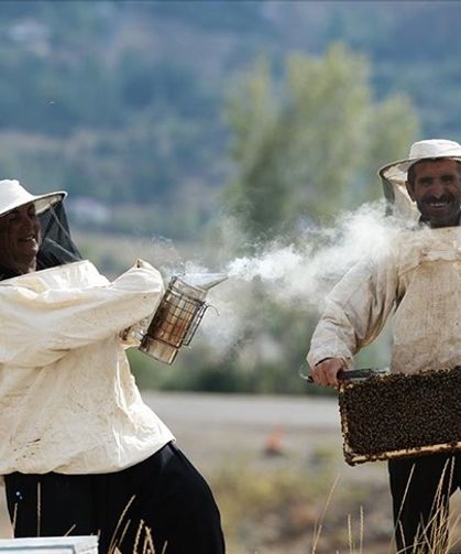 Mersin Arıcıları Bal Sezonuna Hazır mı?