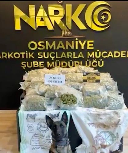 Osmaniye'de otomobil bagajında 36 kilo skunk ele geçirildi: 2 tutuklama