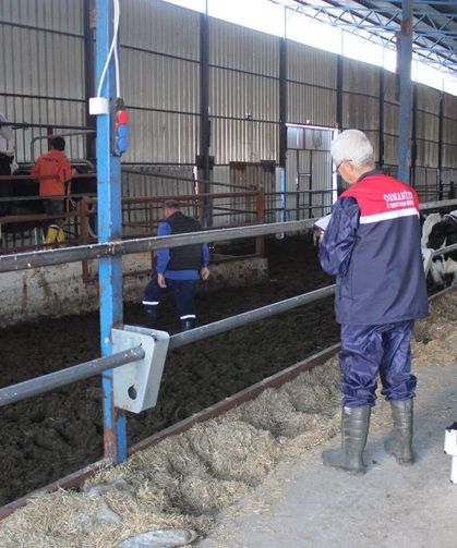 Şap hastalığına karşı saha çalışması