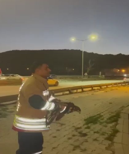 Tellere takılan şahin kurtarıldı