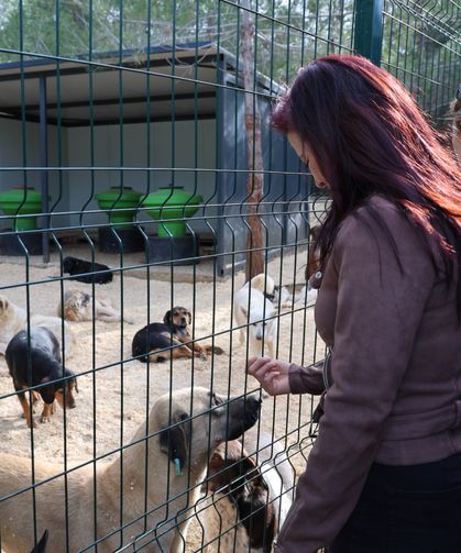 Toroslar'ın doğal yaşam alanı hayvanseverlerin beğenisini kazandı
