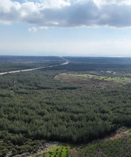 '81 İlde 81 Orman' projesi ilkbahar dikimleriyle devam ediyor