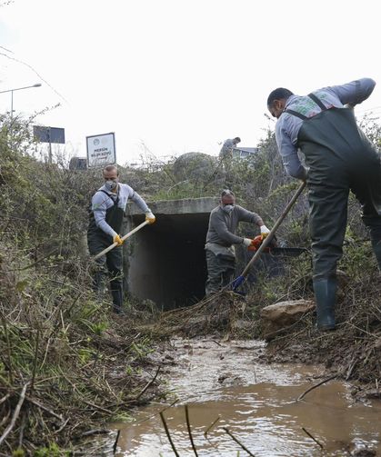 Mersin'de haşere mücadelesi sürüyor