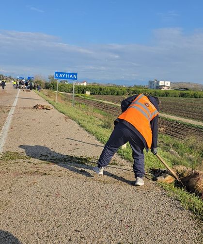 Otomobilin çarptığı sürüdeki 7 koyun telef oldu