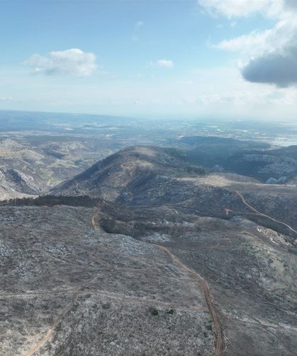 Mersin in Silifke ilçesinde Yanan sahalarda ilk çimlenmeler görüldü