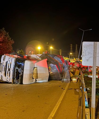 Devrilen TIR'ın sürücüsü yaralandı