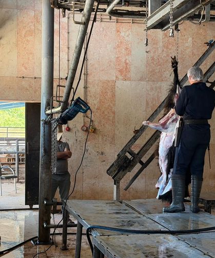 Hatay'da mezbahalar bayram boyunca vatandaşın hizmetinde