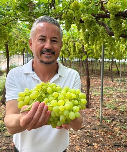 Mersin'de ilk hasadı yapılan üzüm, kilosu 600 TL'ye ihraç edildi
