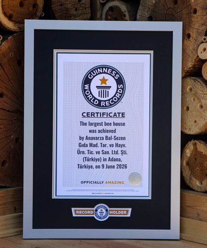 Adana'da hayata geçirilen 'arı oteli' dünyanın en büyüğü; Guinness tescil etti