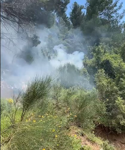 Antalya'da orman yangını havadan ve karadan müdahaleyle kontrol altına alındı