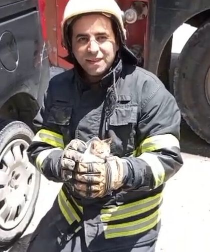 Aracın motoruna sıkışan kedi kurtarıldı
