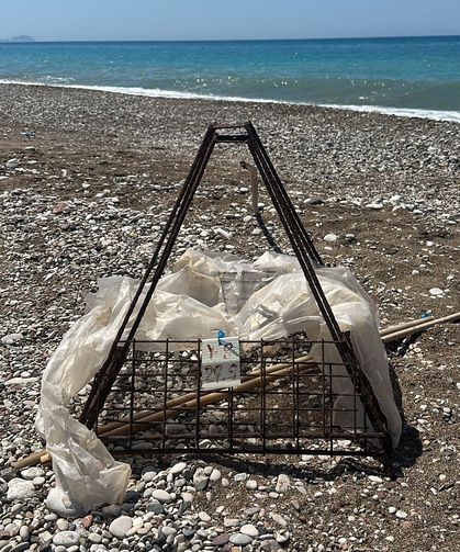 Deniz kaplumbağası koruma demirinin ortasında ateş yaktılar; inceleme başlatıldı